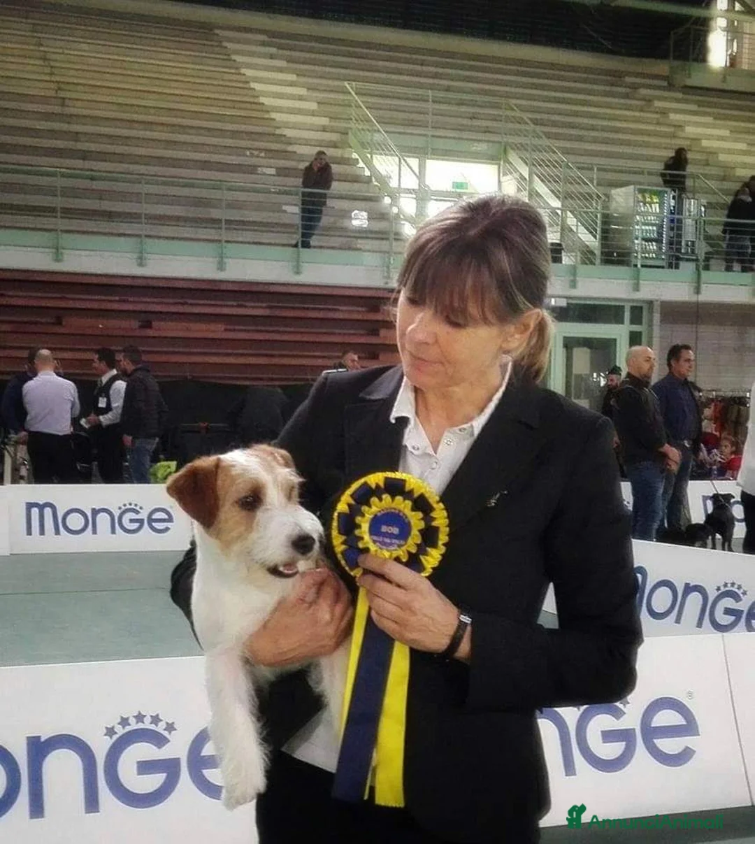 Immagine della galleria {{count}}