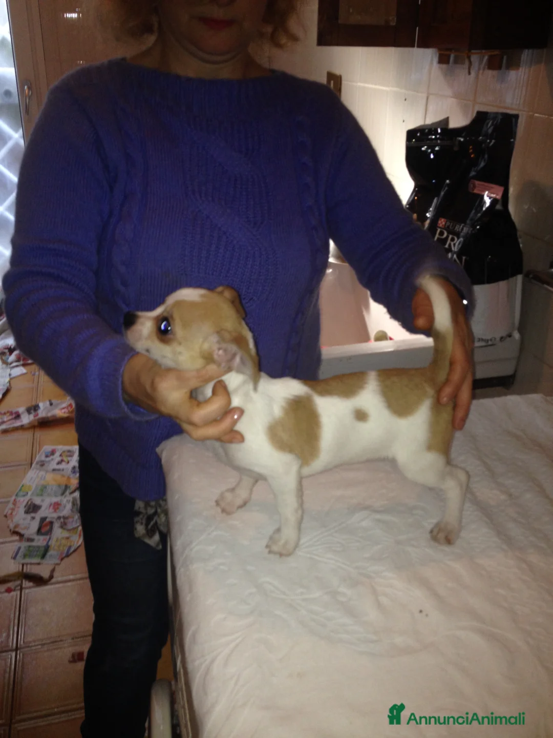 Immagine della galleria {{count}}