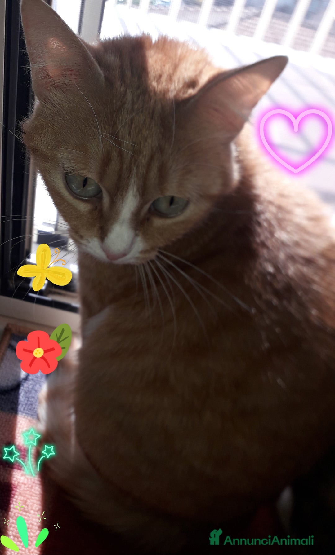 Immagine della galleria {{count}}