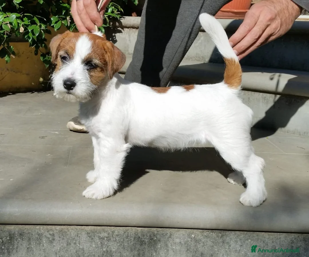 Immagine della galleria {{count}}