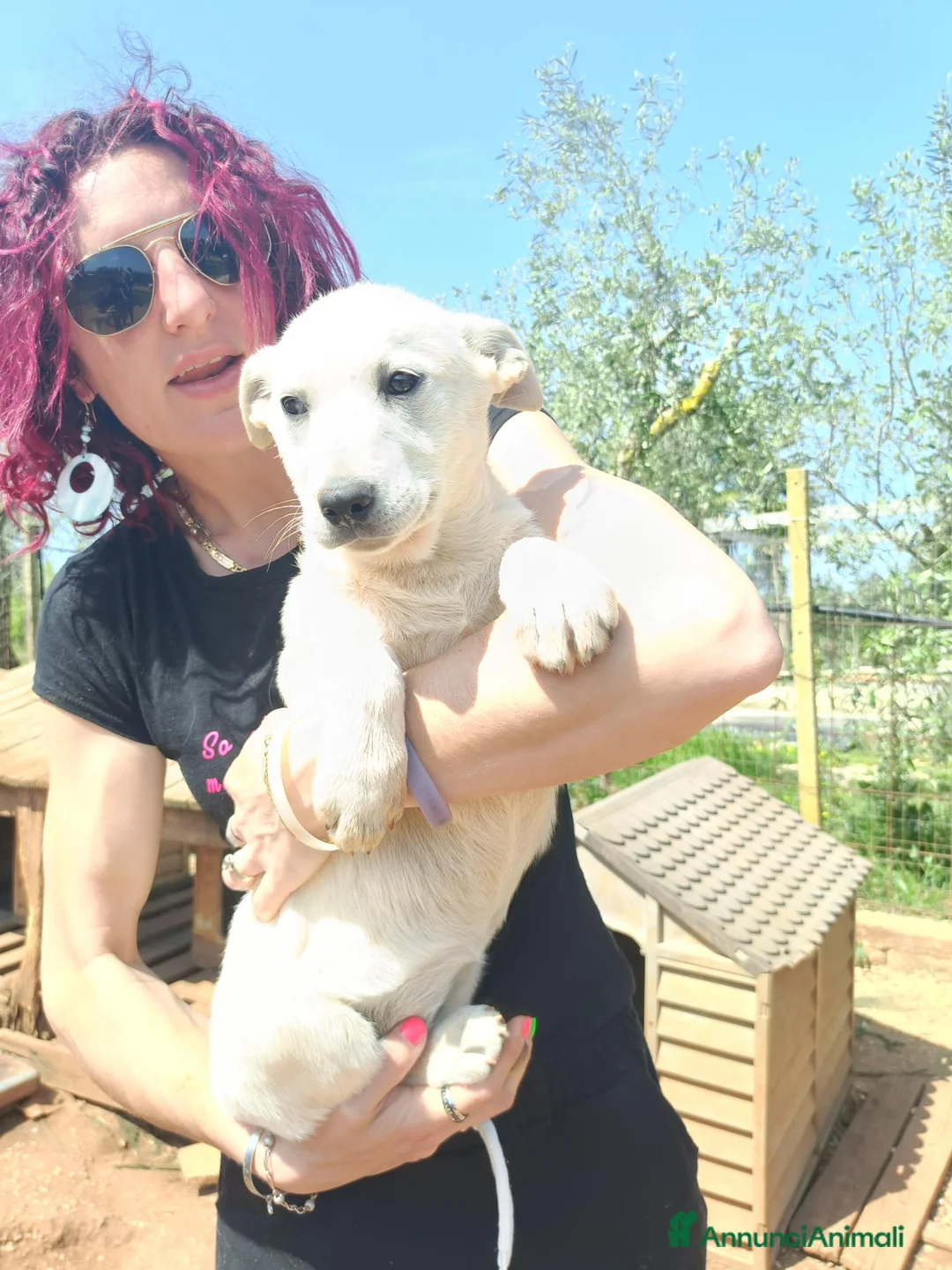 Meticcio cani in regalo: LARA E LINDA - Annuncio 2