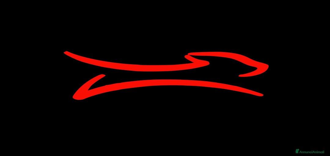 Immagine della galleria {{count}}