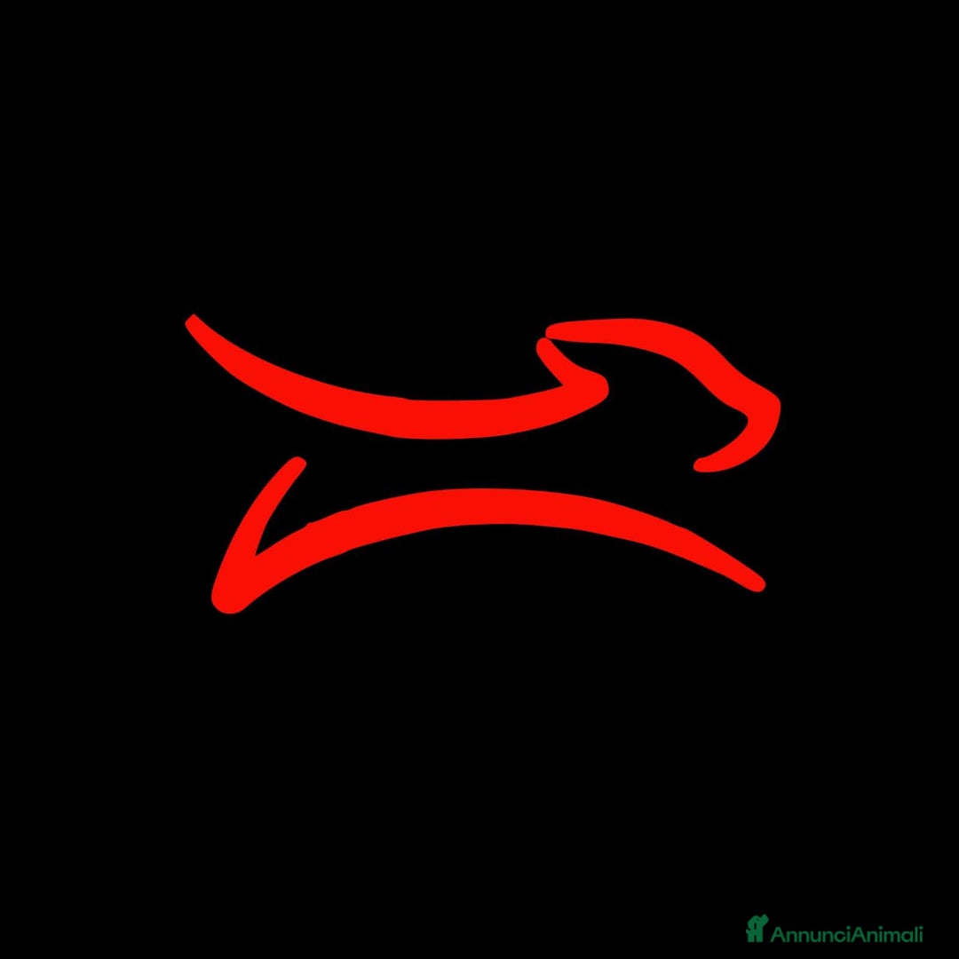 Immagine della galleria {{count}}