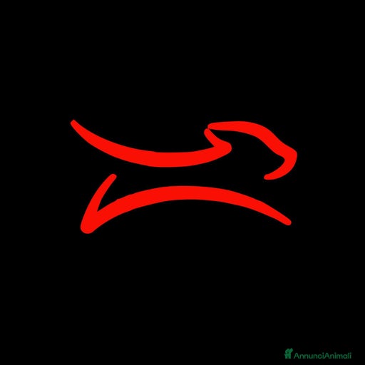 Immagine della galleria {{count}}