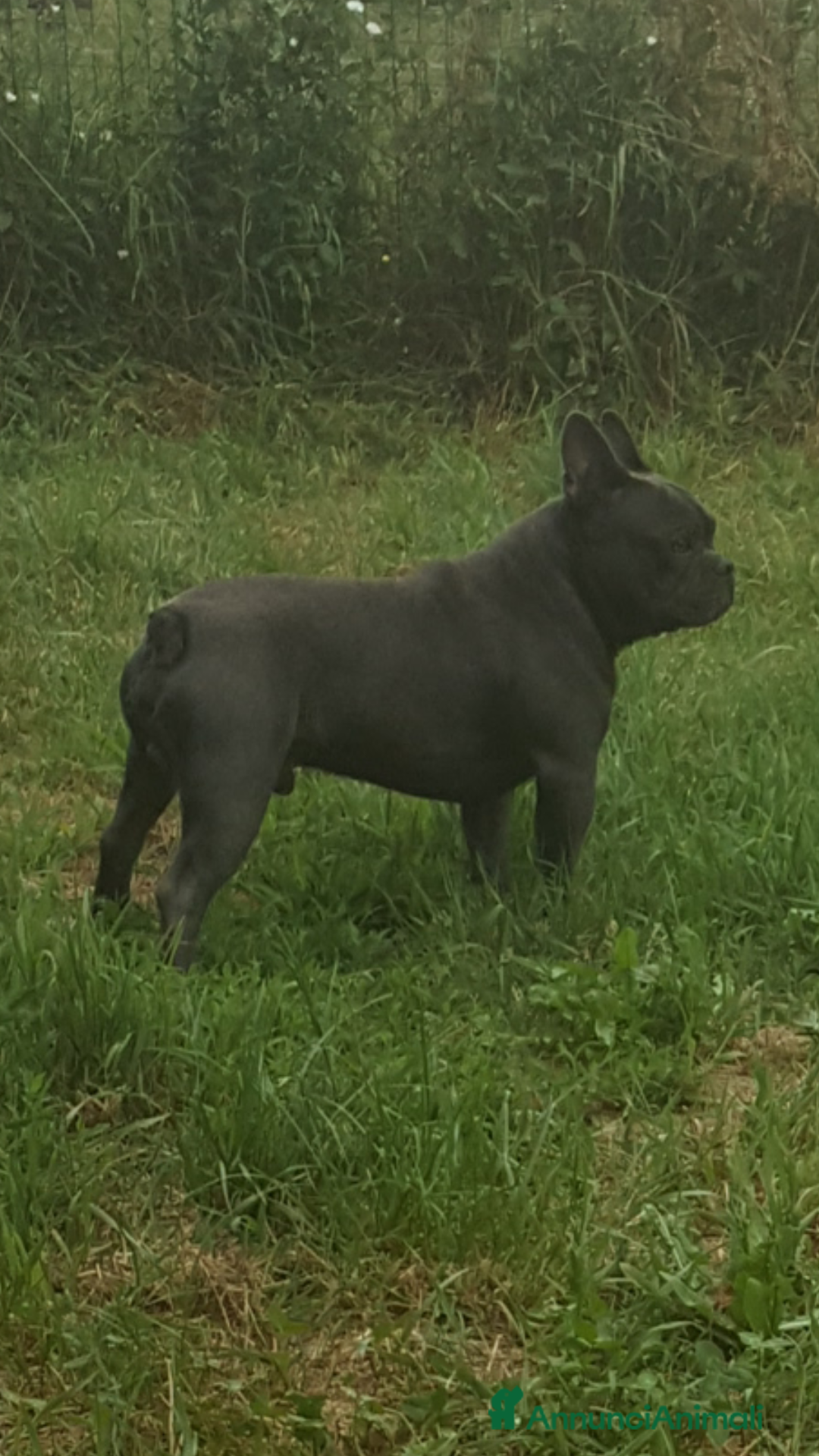 Immagine della galleria {{count}}