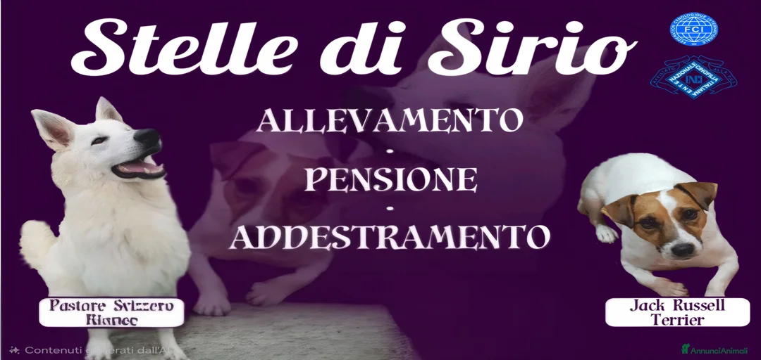 Immagine della galleria {{count}}