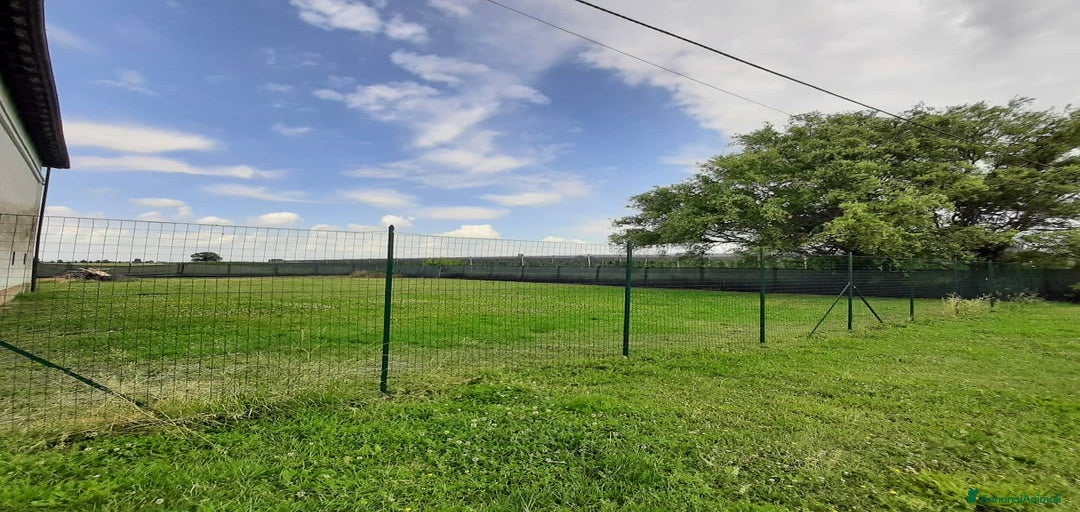 Immagine della galleria {{count}}