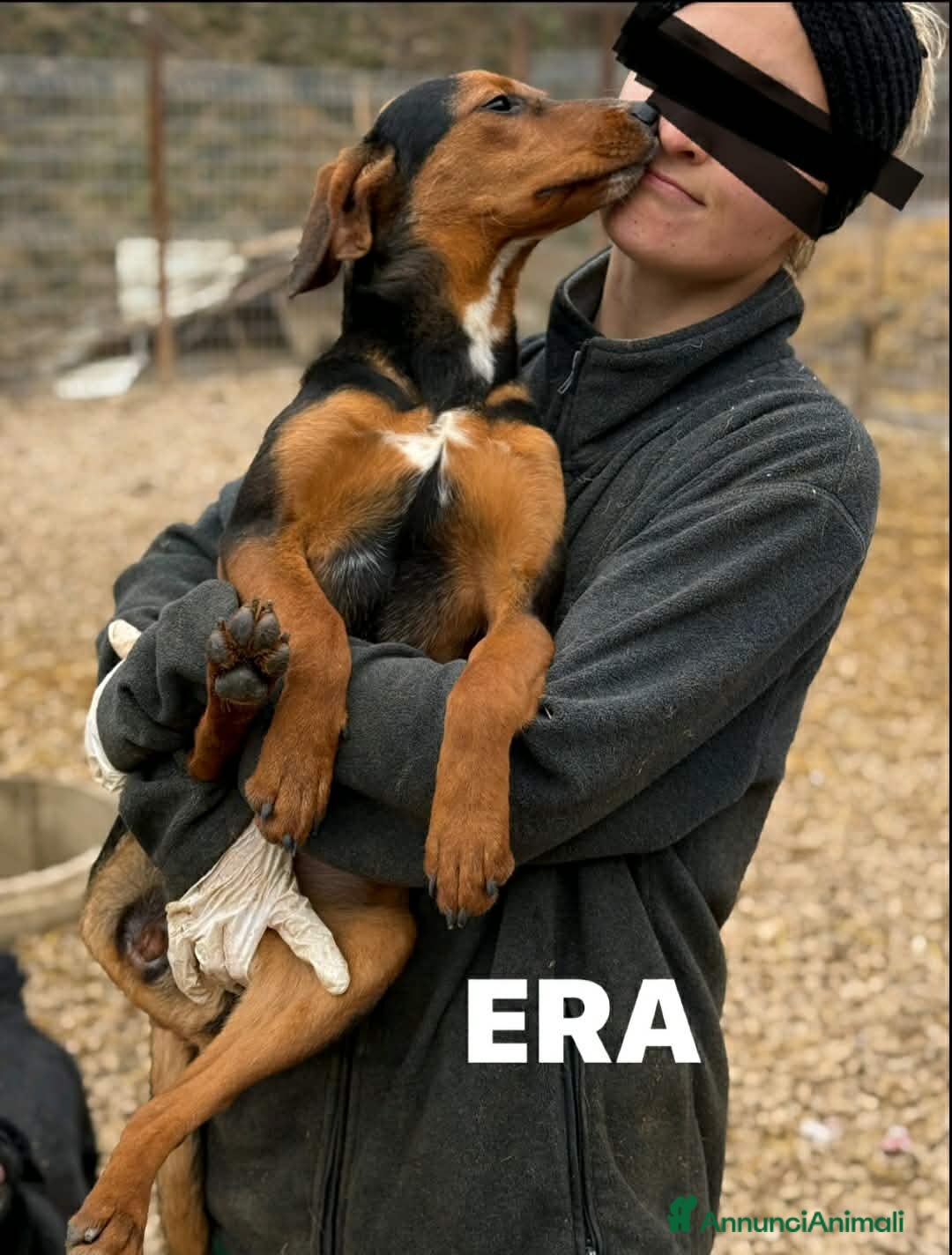 Meticcio cani in regalo: ERA, cucciolona tanto coccolona! Cerca famiglia - Annuncio 5