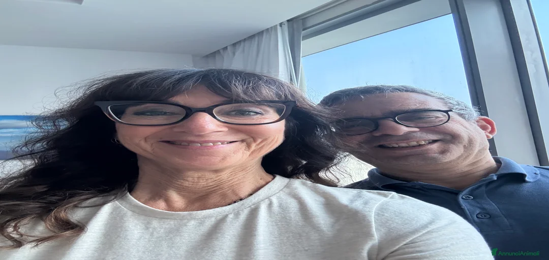 Immagine della galleria {{count}}