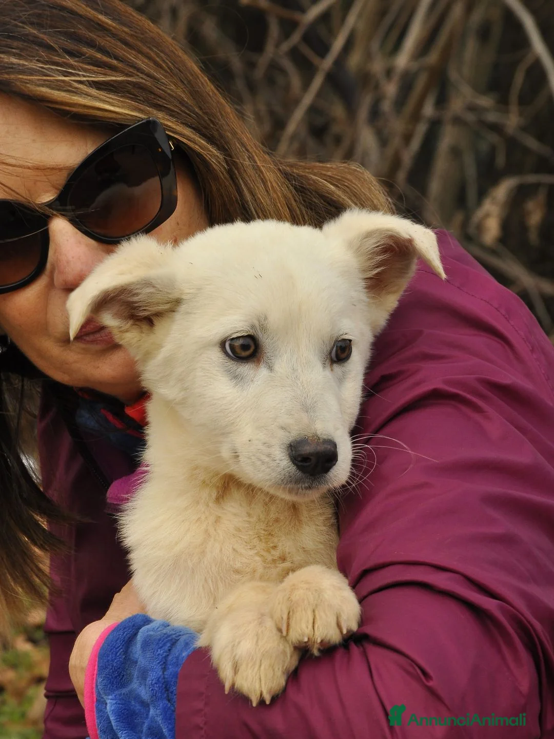 Altre razze cani in regalo: RINO  - Annuncio 4