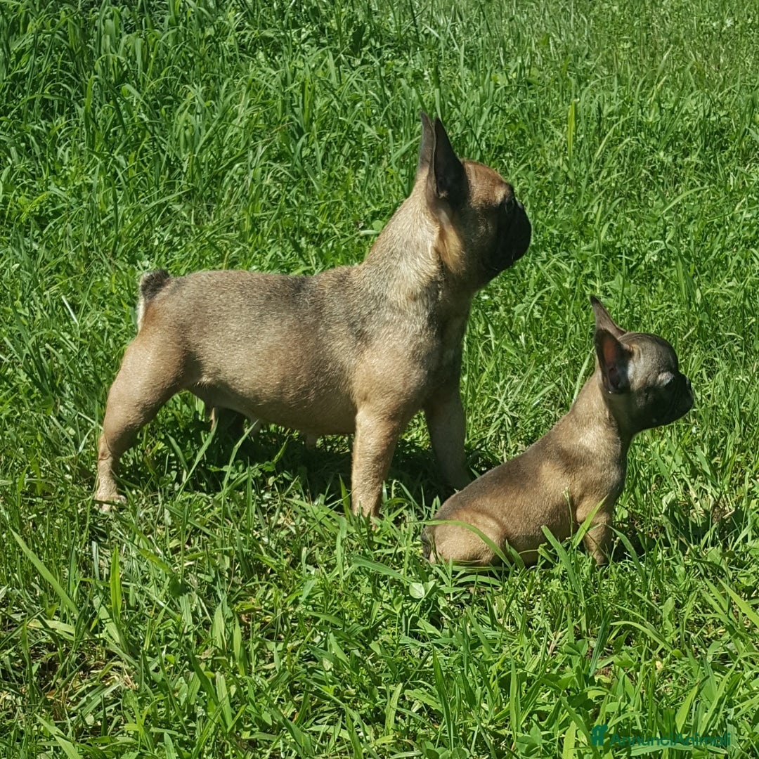 Immagine della galleria {{count}}