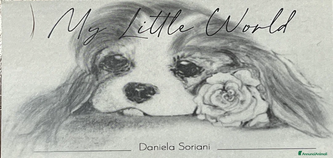 Immagine della galleria {{count}}