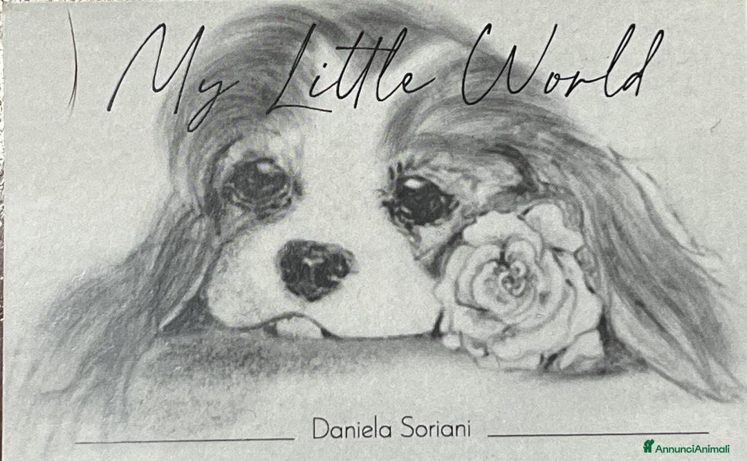 Immagine della galleria {{count}}