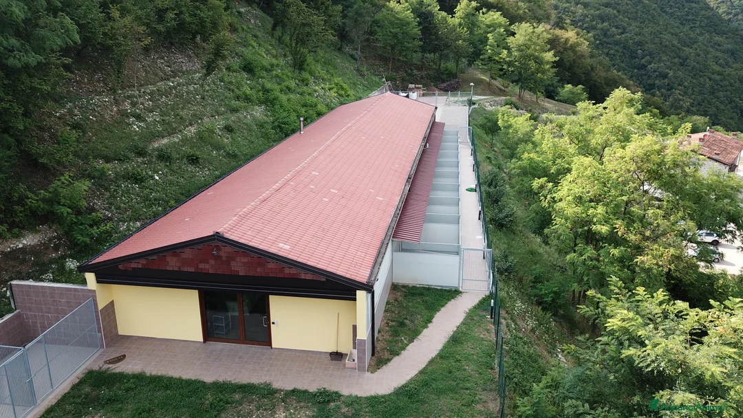 Immagine della galleria {{count}}