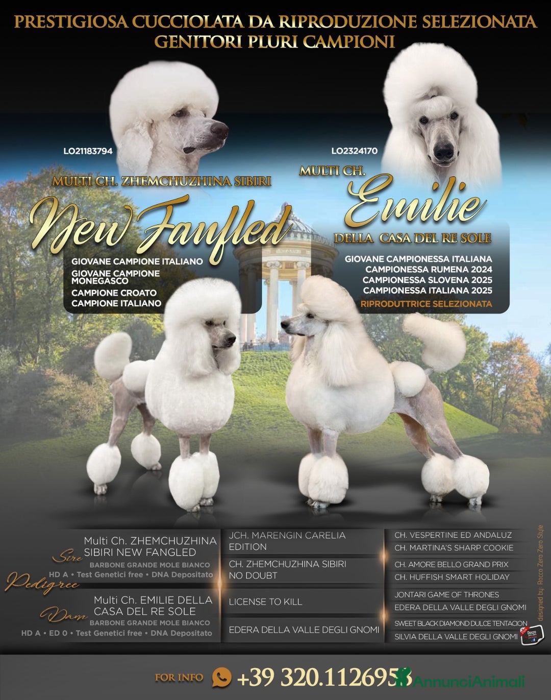 Immagine della galleria {{count}}