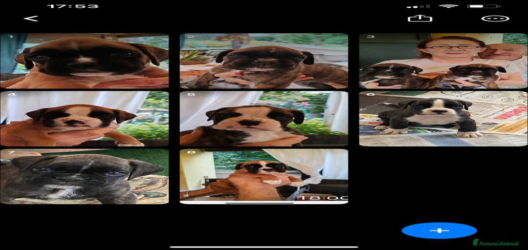 Immagine della galleria {{count}}