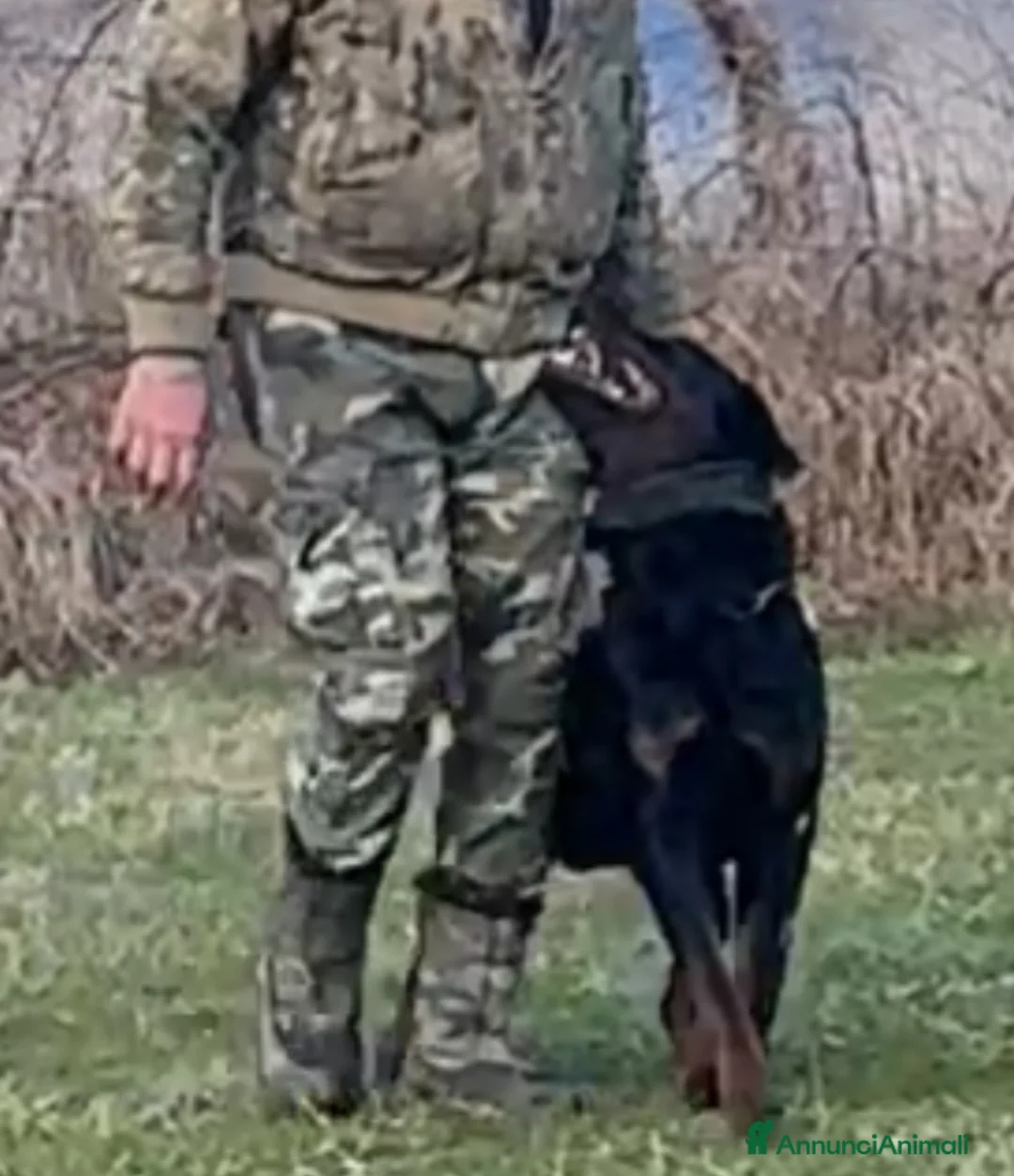 Immagine della galleria {{count}}