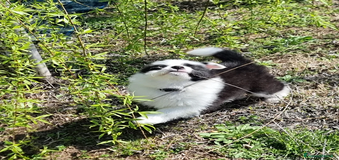 Immagine della galleria {{count}}