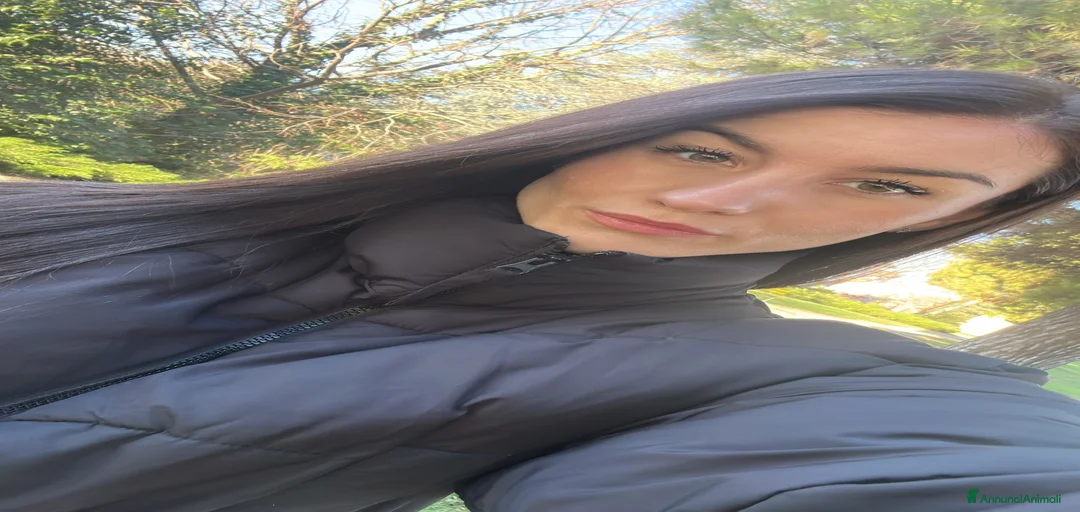 Immagine della galleria {{count}}