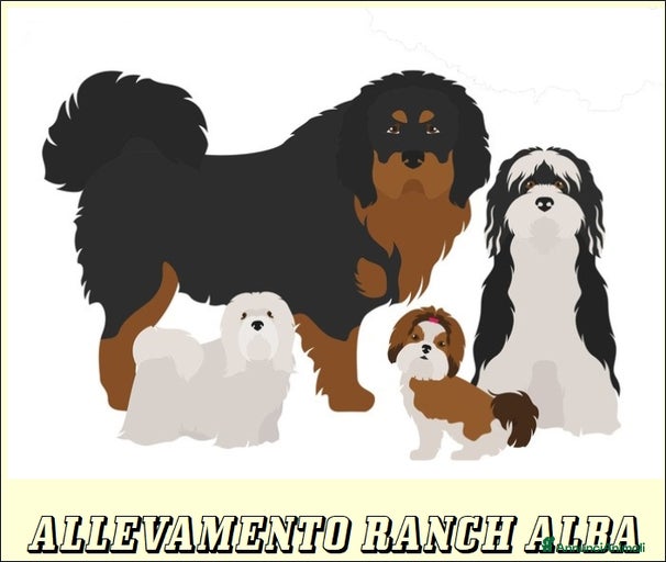 Immagine della galleria {{count}}