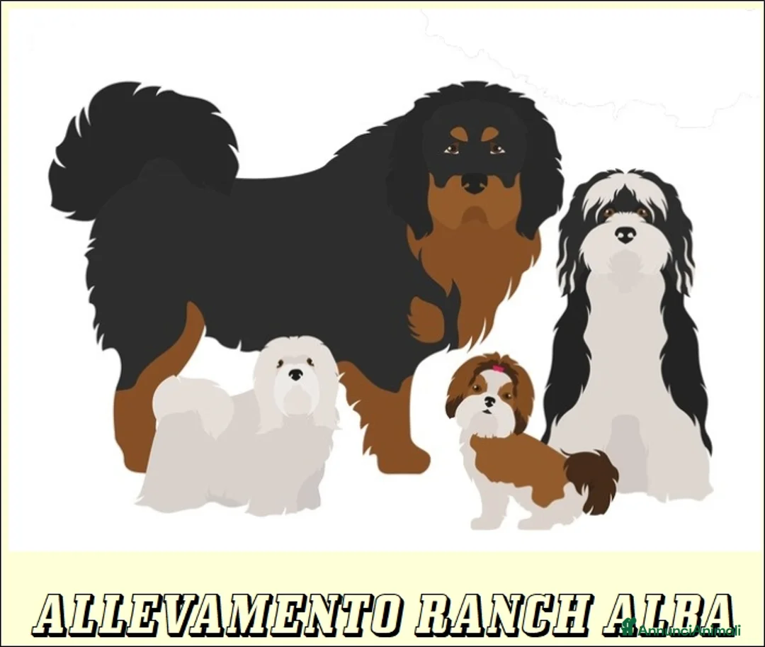 Immagine della galleria {{count}}