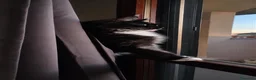 Maine Coon gatti in vendita: Maine Coon  a Provincia di Pavia - Annuncio 1
