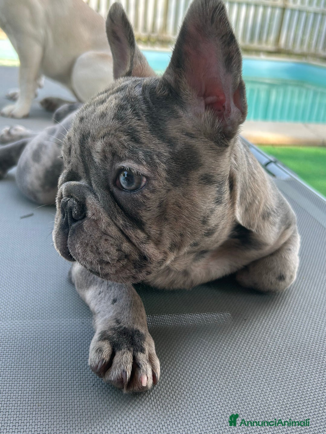 Immagine della galleria {{count}}