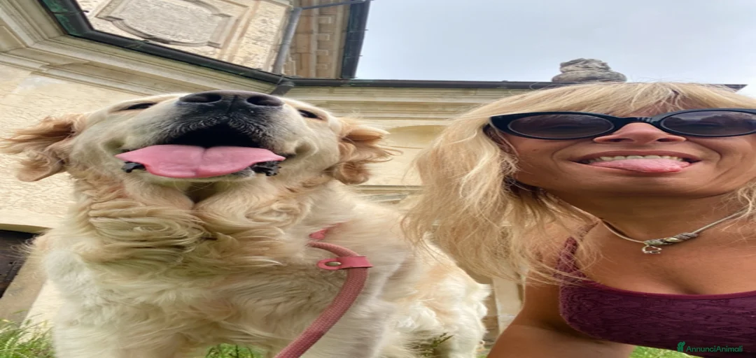 Immagine della galleria {{count}}