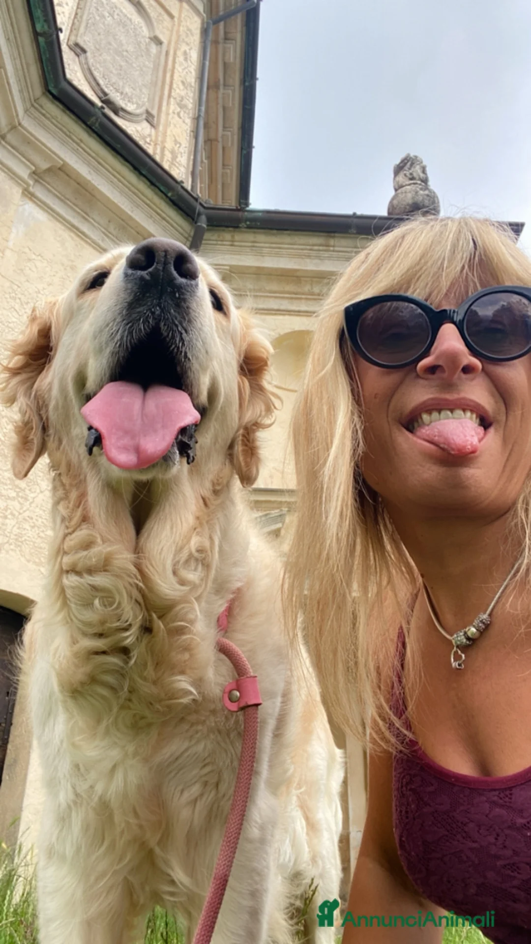 Immagine della galleria {{count}}