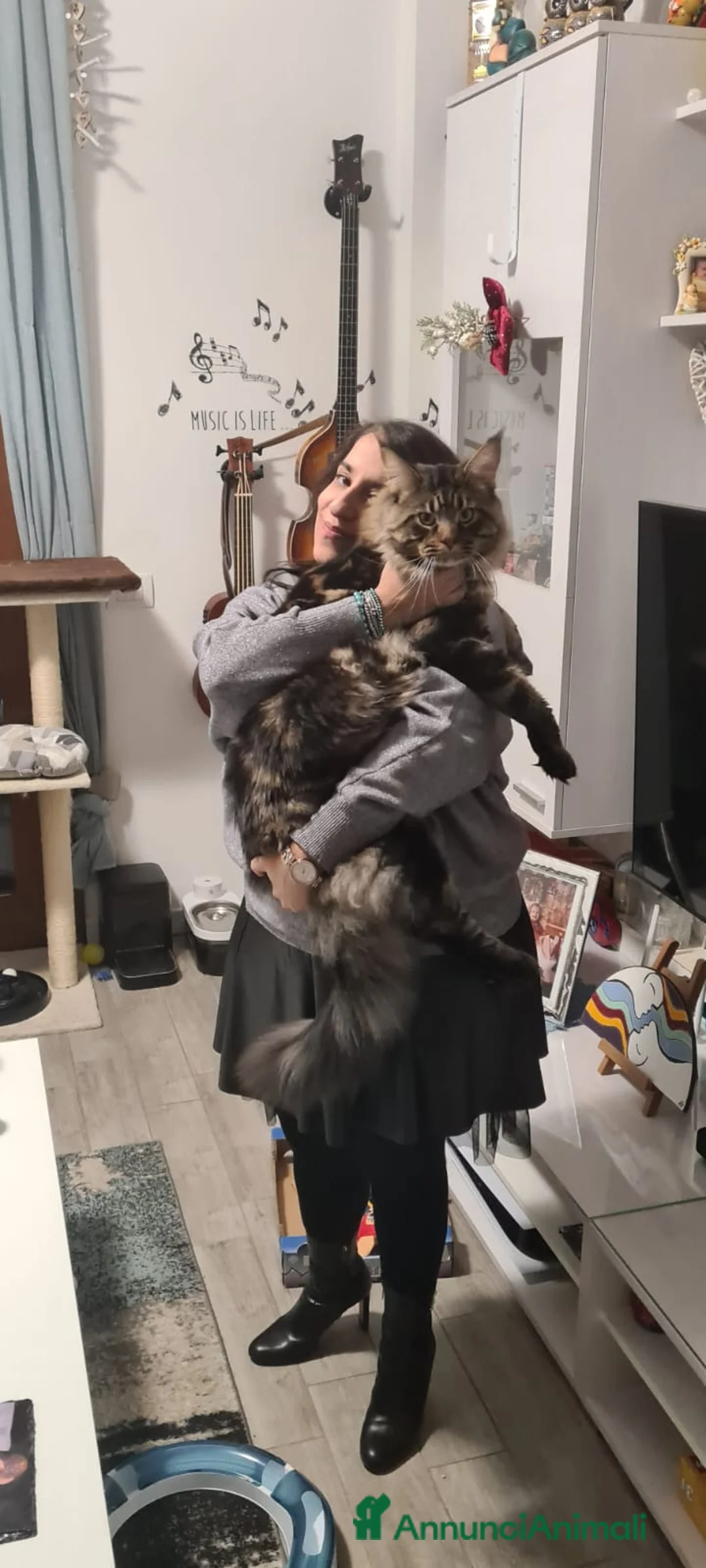 Immagine della galleria {{count}}