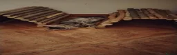 Meticcio gatti in regalo: Regalo gattini di 3-4 mesi e di 1 anno e mezzo  a Città metropolitana di Roma Capitale - Annuncio 11