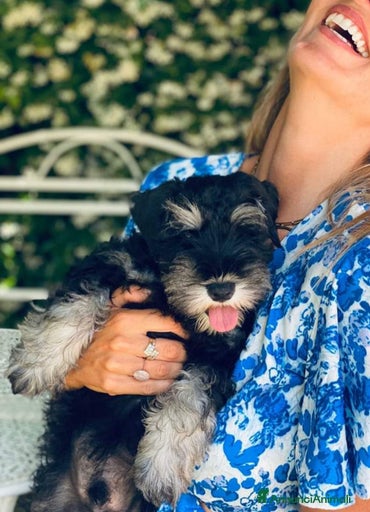 Immagine della galleria {{count}}