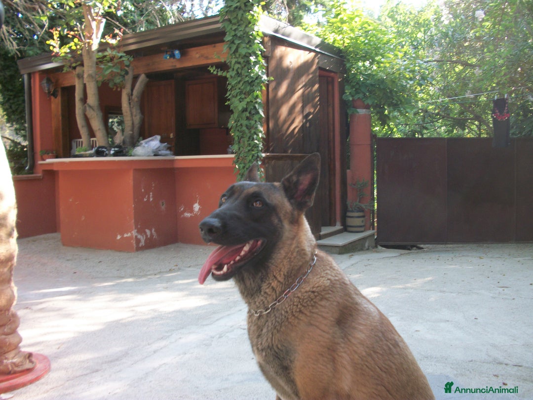 Immagine della galleria {{count}}