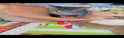 Meticcio gatti in regalo: GATTI E GATTINO DOLCISSIMO - Annuncio 14