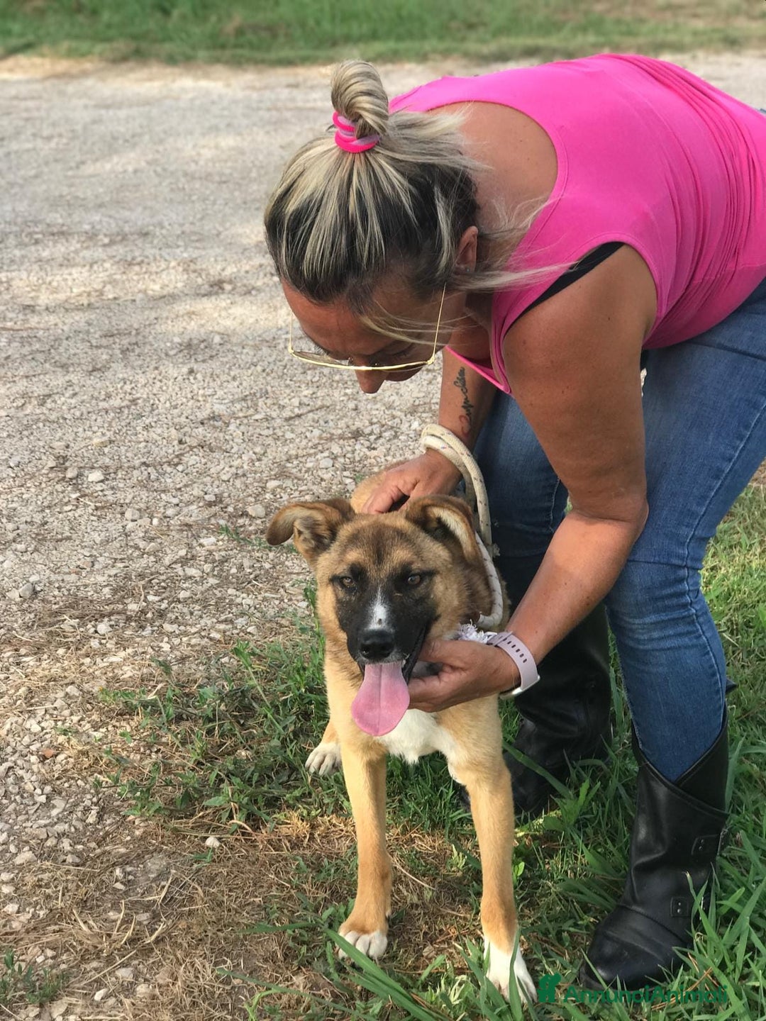 Meticcio cani in regalo: VULCANO mini pastorello non può crescere in canile a Provincia di Latina - Annuncio 6