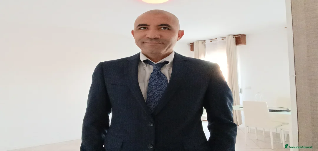 Immagine della galleria {{count}}