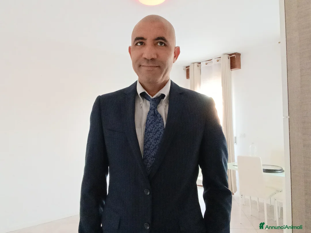 Immagine della galleria {{count}}