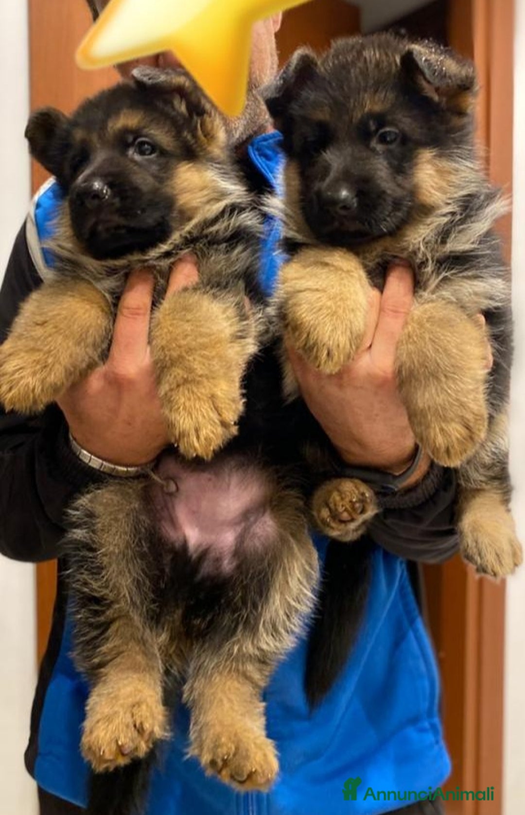 Immagine della galleria {{count}}