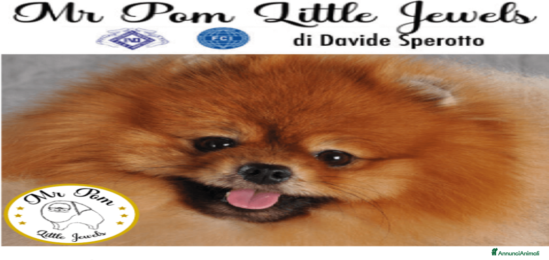 Immagine della galleria {{count}}