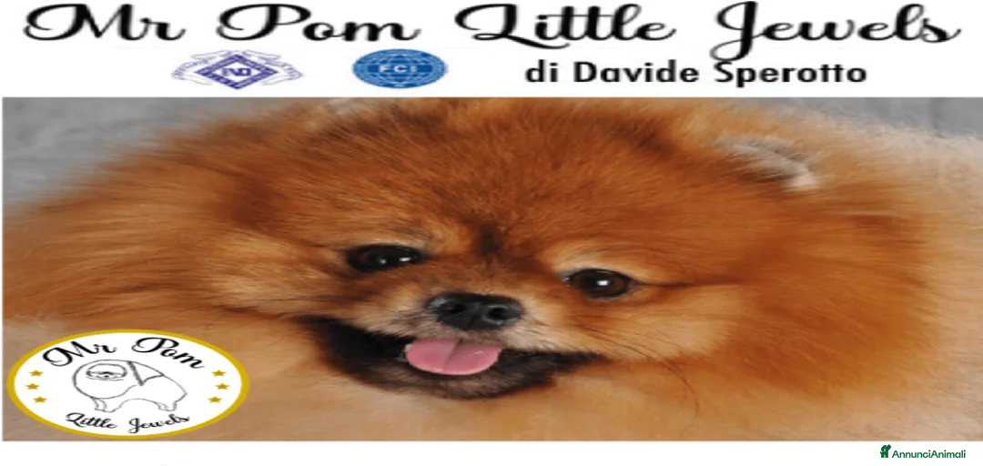 Immagine della galleria {{count}}