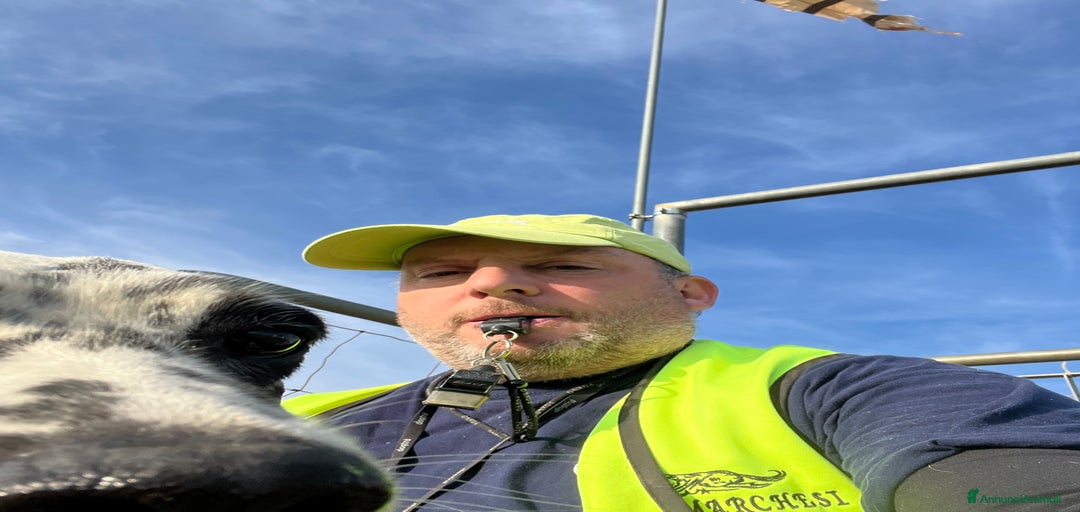 Immagine della galleria {{count}}