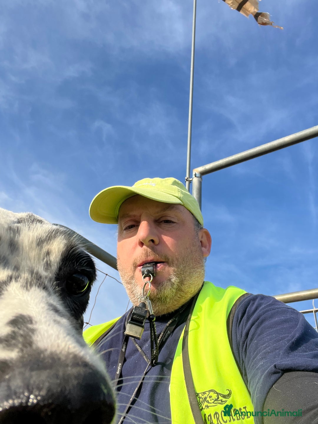 Immagine della galleria {{count}}