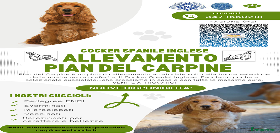 Immagine della galleria {{count}}