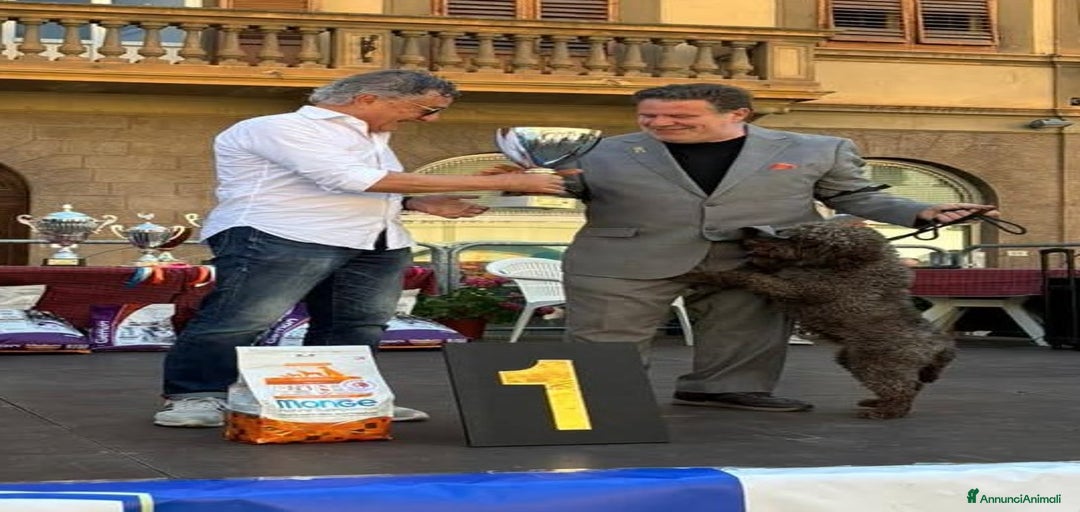 Immagine della galleria {{count}}