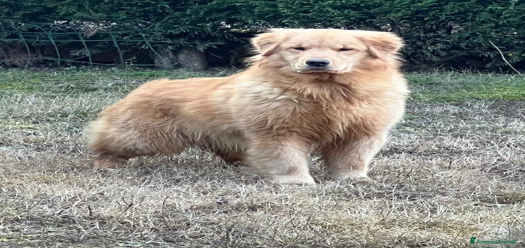 Immagine della galleria {{count}}