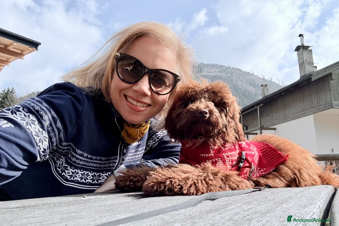 Immagine della galleria {{count}}