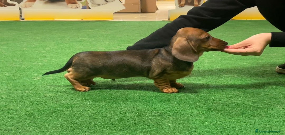 Immagine della galleria {{count}}