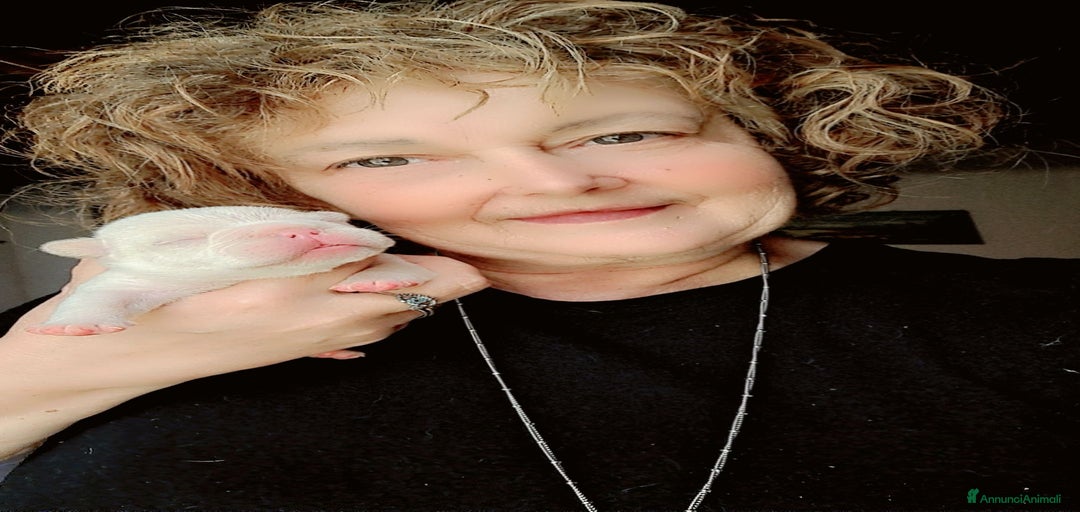 Immagine della galleria {{count}}