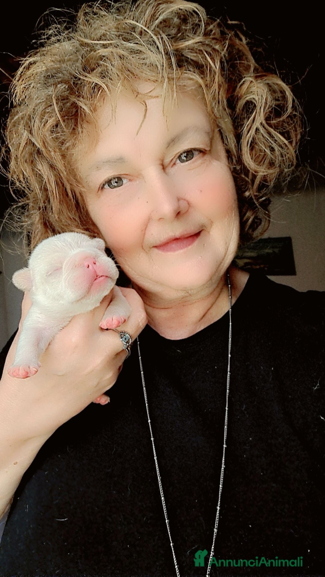 Immagine della galleria {{count}}