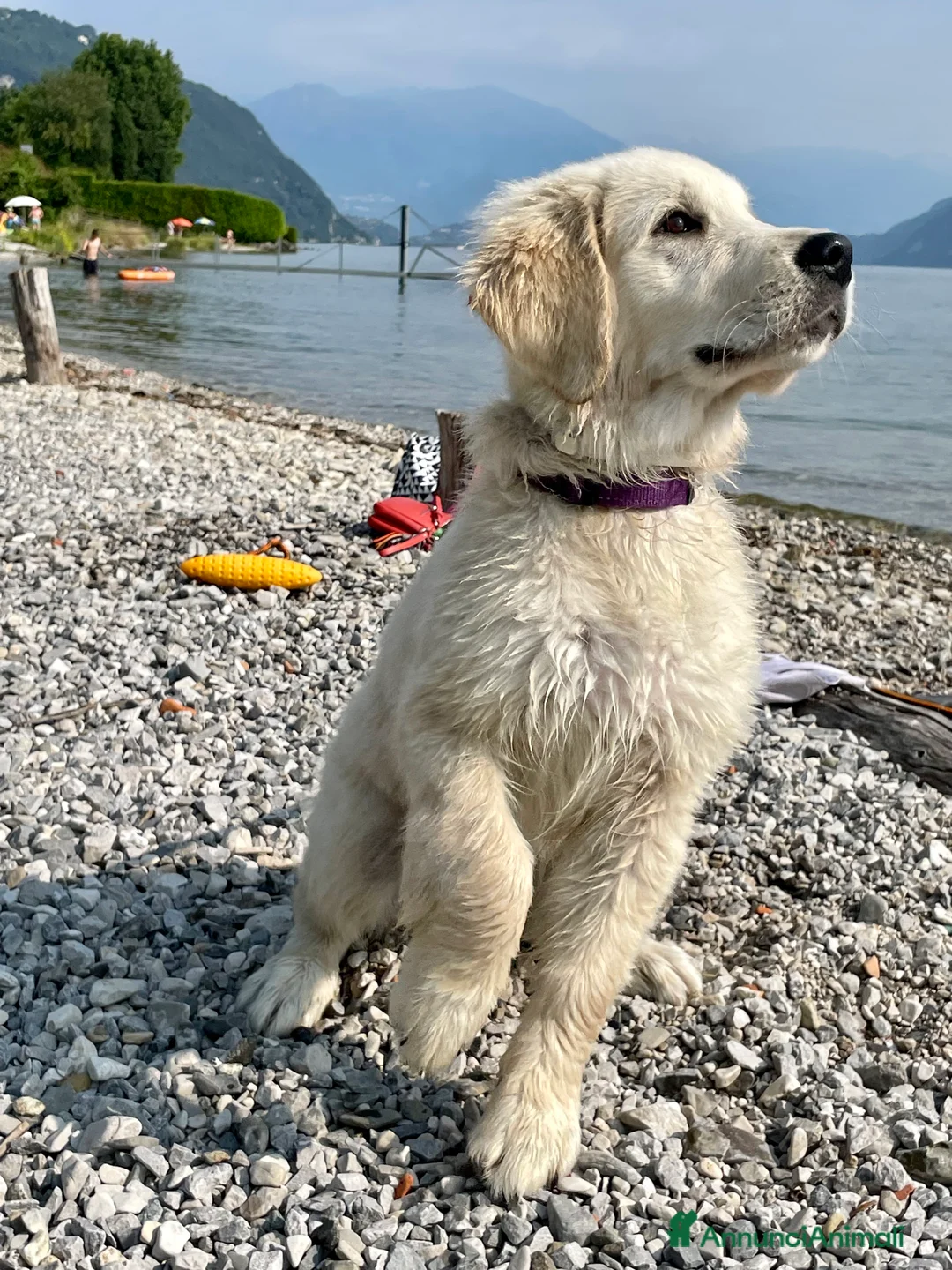 Immagine della galleria {{count}}